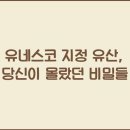 지정 이미지