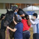 세종승마클럽 이미지