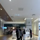 간사이 조이패스 사용후기(하루카스300, 루쿠아백화점, 빅카메라)