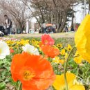 [도로]홈플러스 서수원점 이미지