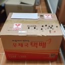 화이트스포츠 이미지