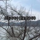 보문로2(남) 이미지