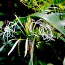 성호기념관 이미지