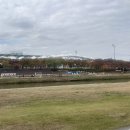 강남킴스의원 | 10월 EP5. 각자의 방향과 적정 속도