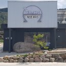 씨젤리피쉬 이미지