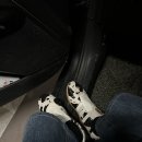 W태권도 이미지