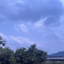 새청도농업협동조합 | [청도] 여름휴가 더 포레스트 풀빌라 숙소 방문 후기