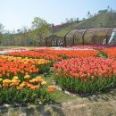 나라꽃 미니정원 이미지