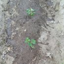 준서농장 이미지