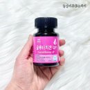 피엔씨코리아