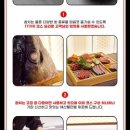 카메참치 이미지