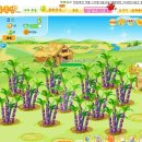 햇빛목장 이미지