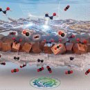 그린P(플라스틱) 이미지