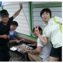 김삿갓면-43 이미지