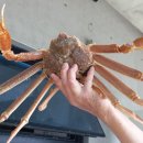 봉포대게찜 게 섯거라 이미지