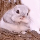 문소3길 이미지