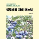 블루베리 출판사