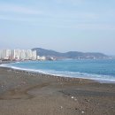 해변만물
