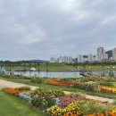 오천153 이미지