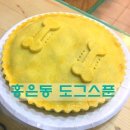 도그스푼 이미지