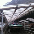 정선베다니자연농장 이미지