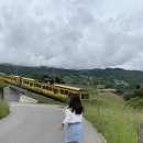 향호리버스종점공중화장실 | 스위스 여행 그린델발트 123번 버스 종점 트래킹 코스 : 흐린 날 일정 추천 1탄