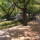 중구 누리길(제1코스) 이미지