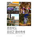 설성농업협동조합 | 음성품바축제 기본정보 자세한 후기