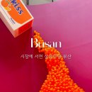 수산뜨개방