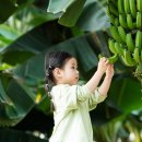 신라농장 이미지