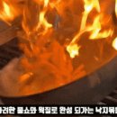 불끈낙지 이미지