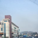 농협본점 | [2026] 경북 영주 농협 마트 설날 OPEN⁉️ '영주농협 본점' 방문 후기