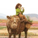 아마도특별한 이미지