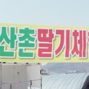 산촌농장(2) 이미지