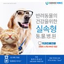 촉진? 타진? 부구법? 손끝에서 찾는 반려동물 신체검사 방법 총정리