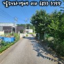 다원푸드법인