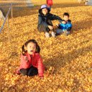 외서초등학교 이미지