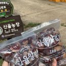 밤두둑농장 네이버블로그