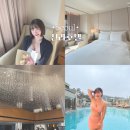 호텔신라 | 서울 5성급호텔 신라호텔 객실 야외수영장 실내수영장 후기
