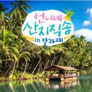 (주)선진노동조합 | 언니네 산지직송 in 칼라페 첫방 후기 (시청률·출연진 케미 총정리)