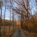 산양3리 이미지