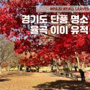 퇴계묘소 입구 공중화장실 | 서울 근교 단풍 명소 - 파주 단풍 맛집 이이 유적 자운서원ㅣ입장료 관람시간 실시간 단풍 현황