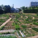 대전광역시 농업기술센타 이미지