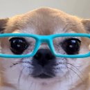 순심이안경 | 다른 아침을 만나면 사라져 버릴 텐데