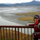 세포삼거리 이미지