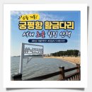 서해소리 | 궁평항 황금다리 26년6월26일개통! 화성 가볼만한곳 서해 당일치기 여행 후기