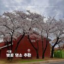 거리공원 | 서울 벚꽃 명소 3곳 추천 | 용산공원, 용답역 매화거리 3월말 방문 후기