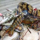 영민식당 이미지