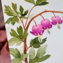 캘리그라피(야간) 이미지