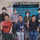 (주)비디펌